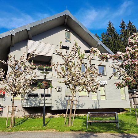 Resident Harrachov Family Apartment エクステリア 写真